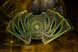 Карти гральні | Doctor Strange V2 Mirror Dimension CRD-0013203 фото 4