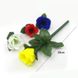 Реквізит для фокусів | Троянда змінює колір (4 кольори) CRD-0013013 фото 2